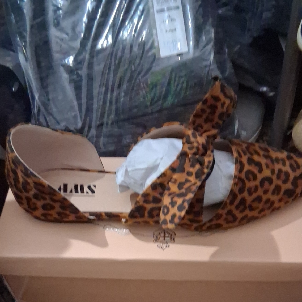 Brown Flats with Chic Design